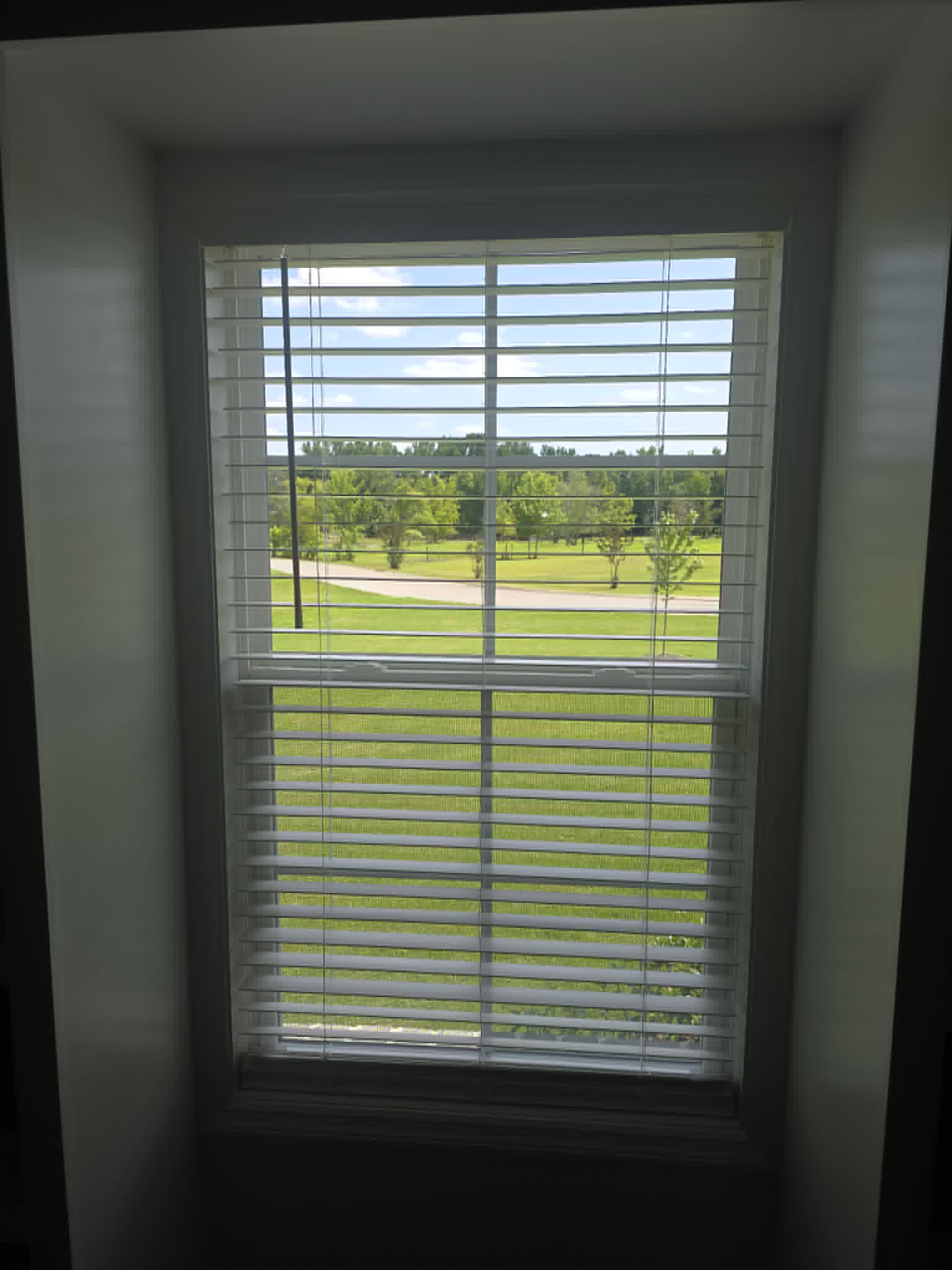 Bullish Blind project photo