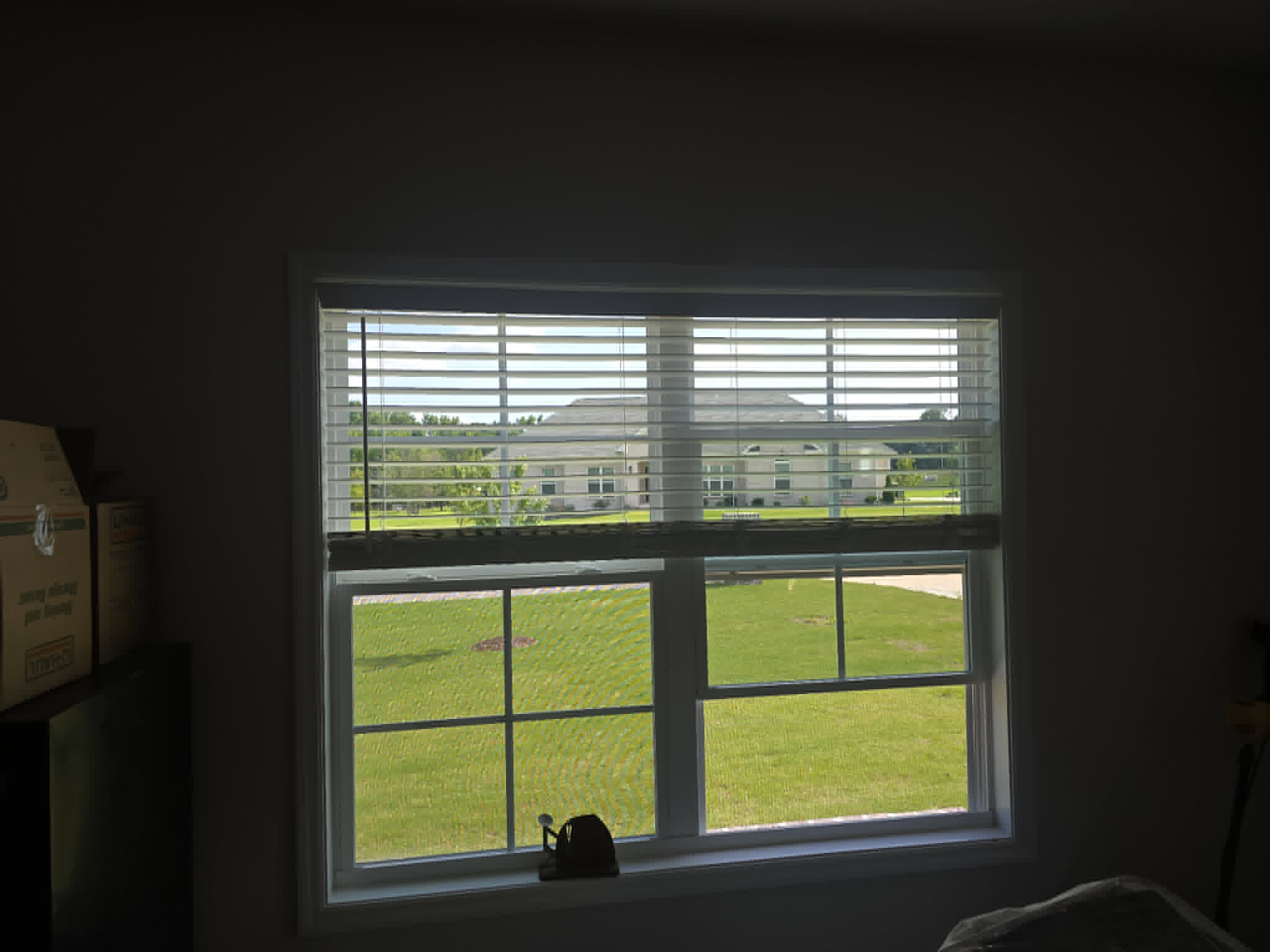 Bullish Blind project photo