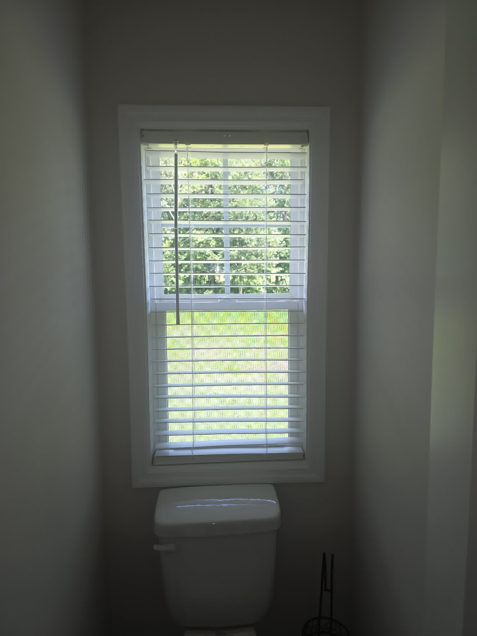 Bullish Blind project photo