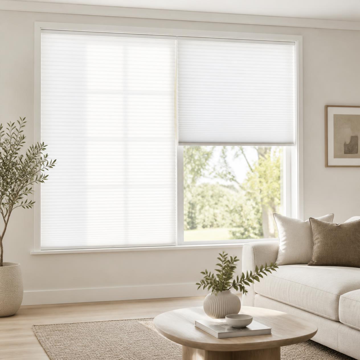 Window Shades
